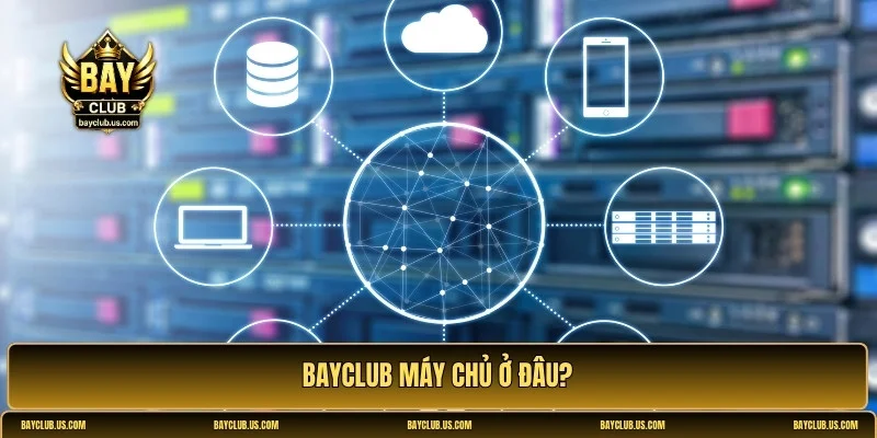 Bayclub máy chủ ở đâu