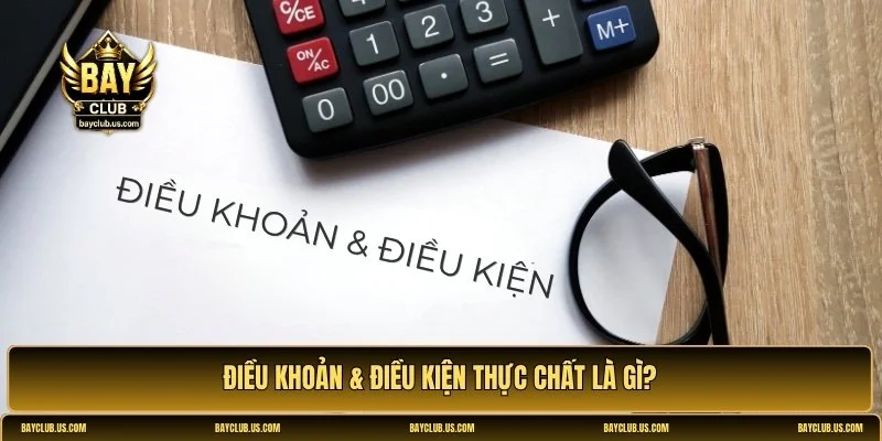 Điều khoản & điều kiện