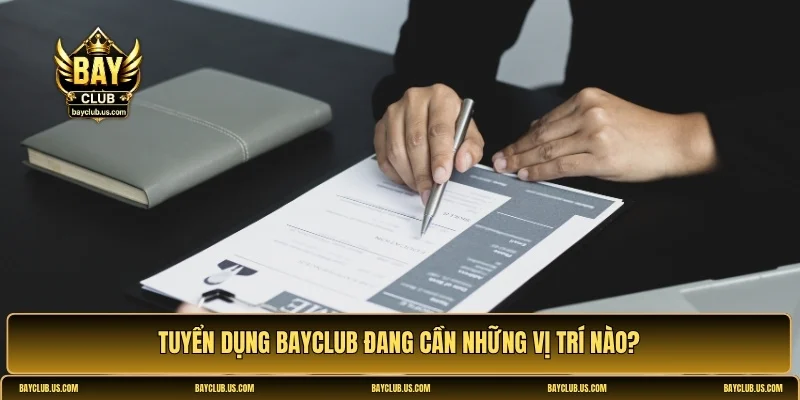 Tuyển dụng Bayclub đang cần những vị trí nào?